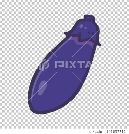 中長なすのカラーイラスト 141657711