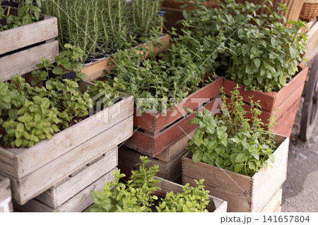 Fresh herbs in wooden crates at a market stall 141657804