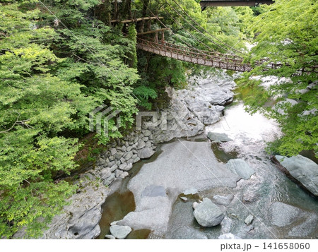新緑に映える祖谷のかずら橋Suspension bridgeと渓谷の風景Drone(徳島県三好市) 新緑に映える祖谷のかずら橋Suspension bridgeと渓谷の風景Drone(徳島県三好市) 141658060