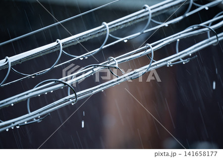 雨に濡れて水滴が光る電線と降りしきる雨の風景 141658177