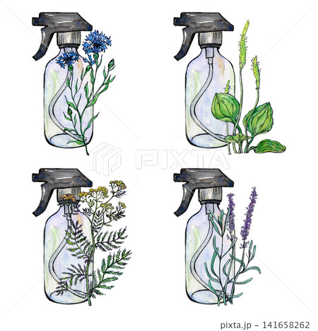 A watercolor sketch of a composition featuring four spray bottles, cornflower, plantain, tansy, and lavender A watercolor sketch of a composition featuring four spray bottles, cornflower, plantain, tansy, and lavender 141658262