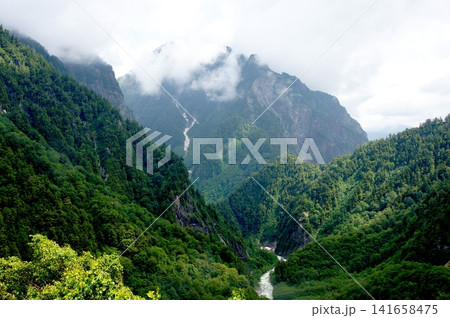 深い緑に包まれた霧の山岳渓谷 深い緑に包まれた霧の山岳渓谷 141658475