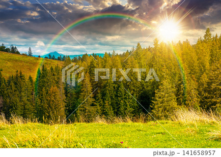 sunset over nature scenery with coniferous forest in mountain. carpathian landscape with spruce woodland on the hill. ukraine nature background in early autumn. weather with rainbow sunset over nature scenery with coniferous forest in mountain. carpathian landscape with spruce woodland on the hill. ukraine nature background in early autumn. weather with rainbow 141658957