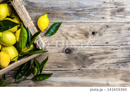 Fresh Ripe Lemons with Leaves in a Rustic Wooden Crate Top View, copy space 141659360
