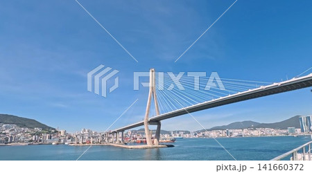 韓国釜山港大橋 141660372