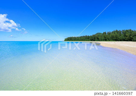 石垣島 フナクヤ浜に広がる透明な遠浅の海と青空が美しい夏の南国絶景風景 石垣島 フナクヤ浜に広がる透明な遠浅の海と青空が美しい夏の南国絶景風景 141660397
