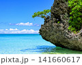 石垣島の青い海と隆起サンゴ礁の岩が織りなす南国ビーチの美しい絶景風景 石垣島の青い海と隆起サンゴ礁の岩が織りなす南国ビーチの美しい絶景風景 141660617