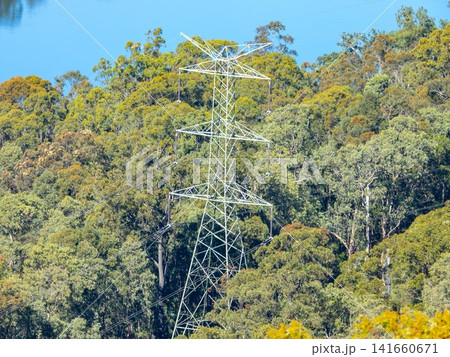 An Electrical Transmission Tower in a forest near the Nepean River An Electrical Transmission Tower in a forest near the Nepean River 141660671