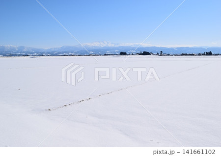 東北地方の雪景色 山形県庄内 東北地方の雪景色 山形県庄内 141661102