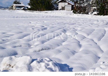 東北地方の雪景色 山形県庄内 東北地方の雪景色 山形県庄内 141661106