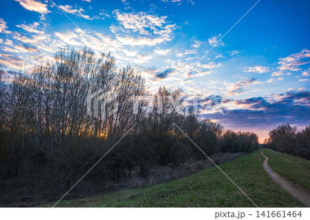 Vistula River near Warsaw at dusk with path and leafless trees 141661464