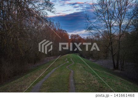 Leafless trees line a winding dirt path on a Vistula levee near Warsaw 141661468