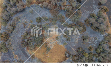 Aerial Belarus winter wetlands with frozen marsh and woodland forms 141661785
