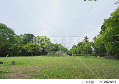 二俣城跡　城山公園　5月 141662054