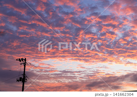 うろこ雲と夕焼け うろこ雲と夕焼け 141662304