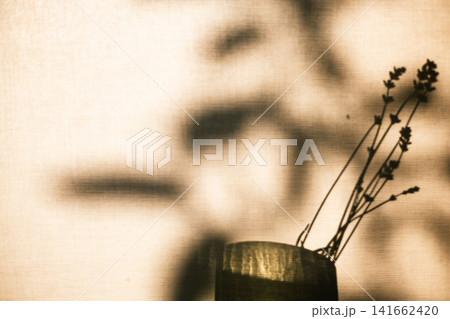 Minimal dried lavender stems in a small vase cast delicate shadows across a sunlit window screen. Warm neutral tones create a calm, organic interior. Minimal dried lavender stems in a small vase cast delicate shadows across a sunlit window screen. Warm neutral tones create a calm, organic interior. 141662420