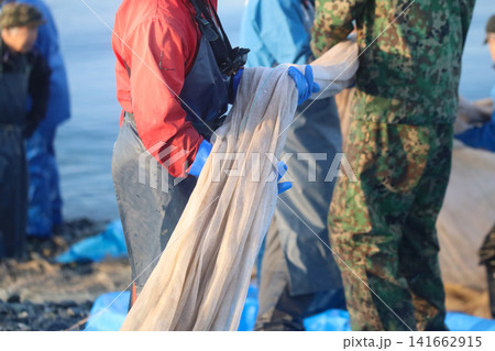 海岸から網を引く漁師 141662915