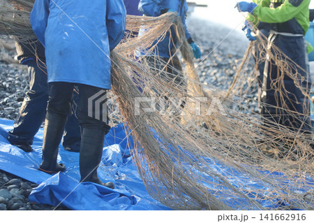 海岸から網を引く漁師 海岸から網を引く漁師 141662916
