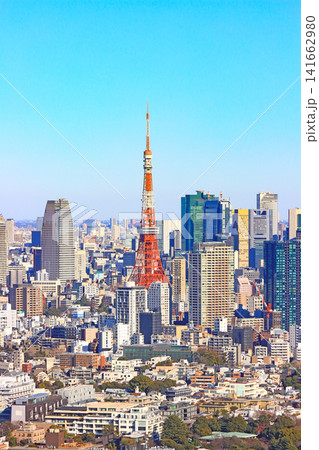 東京都港区、東京の町並みと東京タワーの風景 東京都港区、東京の町並みと東京タワーの風景 141662980