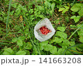 Plastic Bag Filled with Fresh Forest Strawberries 141663208