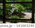 岡山県吉備津神社廻廊が切り取る初夏の煌めき 141663246