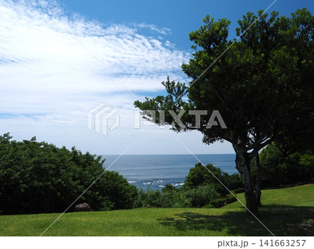 高知・土佐西南大規模公園 海を望む高台の芝生広場と夏空 高知・土佐西南大規模公園 海を望む高台の芝生広場と夏空 141663257