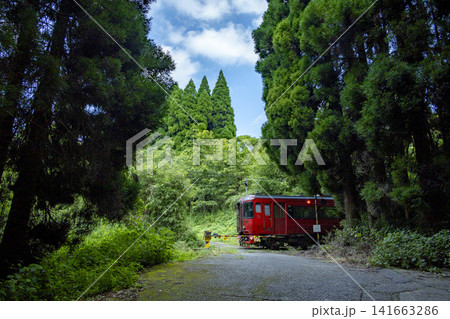 山間の小さな踏切を通過するゆふ号 山間の小さな踏切を通過するゆふ号 141663286