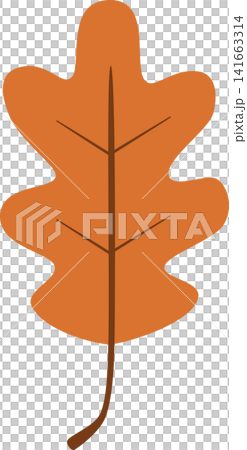 Orange Oak Autumn Leaf Flat Illustration Isolated on Transparent PNG Background Orange Oak Autumn Leaf Flat Illustration Isolated on Transparent PNG Background 141663314