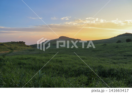 愛媛・四国カルスト 夏の牧草地と夕焼けの風景 愛媛・四国カルスト 夏の牧草地と夕焼けの風景 141663417