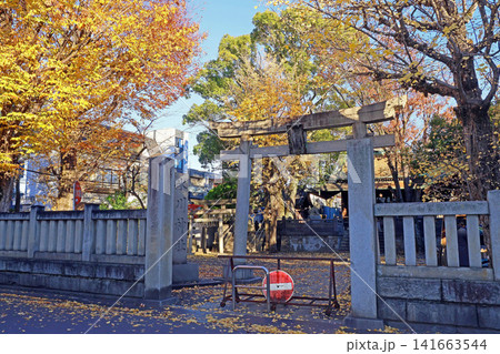 千住氷川神社(足立) 千住氷川神社(足立) 141663544