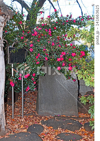 千住氷川神社(足立) 千住氷川神社(足立) 141663625