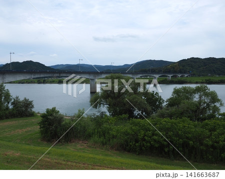 清流・四万十川を跨ぐ四万十大橋と豊かな水面・青々とした緑(高知県四万十市) 清流・四万十川を跨ぐ四万十大橋と豊かな水面・青々とした緑(高知県四万十市) 141663687