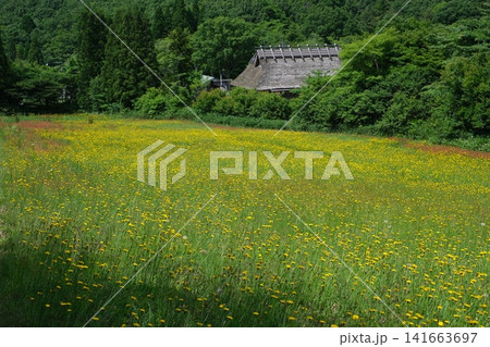 芸北八幡高原初夏の景色 芸北八幡高原初夏の景色 141663697
