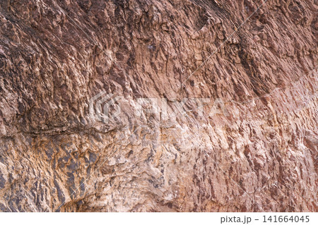 Close up of petrified wood texture with fossilized mineral layers and natural geological patterns. Ancient prehistoric organic structures, weathered stone details and abstract earth background. 141664045