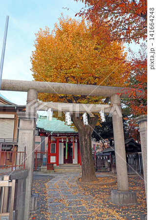 白幡八幡神社(足立) 白幡八幡神社(足立) 141664248