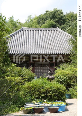 不退寺・夏【奈良県奈良市】 不退寺・夏【奈良県奈良市】 141664771