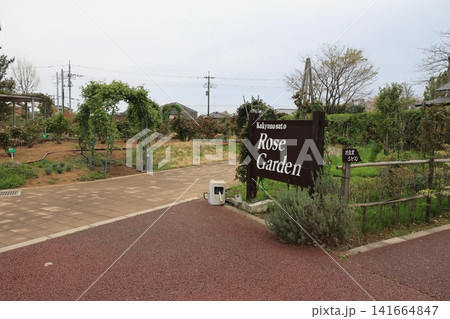 埼玉県鴻巣市の花久の里の風景 埼玉県鴻巣市の花久の里の風景 141664847