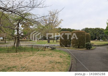 埼玉県鴻巣市のふれあい公園の風景 141665288