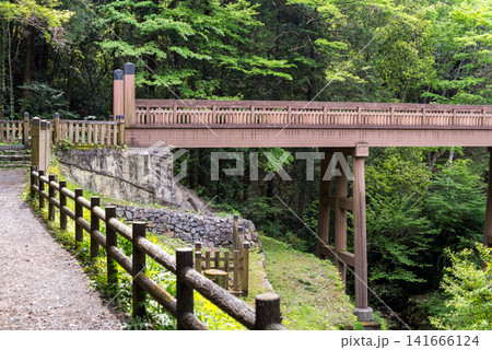 【八王子城跡】森林を抜ける古道と曳橋 【八王子城跡】森林を抜ける古道と曳橋 141666124