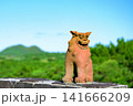 青空と緑の山を背景に堂々とたたずむ石垣島底原ダムの勇ましいシーサー像の風景 青空と緑の山を背景に堂々とたたずむ石垣島底原ダムの勇ましいシーサー像の風景 141666209