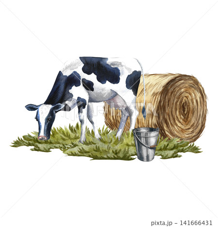 A cow grazing in a meadow near a roll of hay. Hand-drawn watercolor illustration. Perfect for dairy product advertisements, banners, posters, packaging, labels, and more. A cow grazing in a meadow near a roll of hay. Hand-drawn watercolor illustration. Perfect for dairy product advertisements, banners, posters, packaging, labels, and more. 141666431
