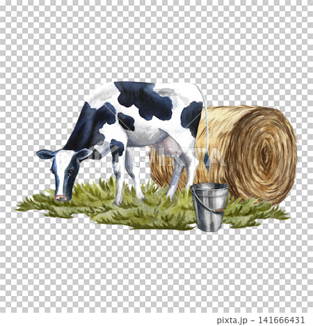A cow grazing in a meadow near a roll of hay. Hand-drawn watercolor illustration. Perfect for dairy product advertisements, banners, posters, packaging, labels, and more. A cow grazing in a meadow near a roll of hay. Hand-drawn watercolor illustration. Perfect for dairy product advertisements, banners, posters, packaging, labels, and more. 141666431
