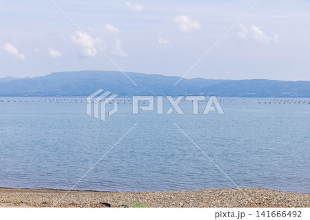 夏の佐渡の海の風景、真野湾 夏の佐渡の海の風景、真野湾 141666492