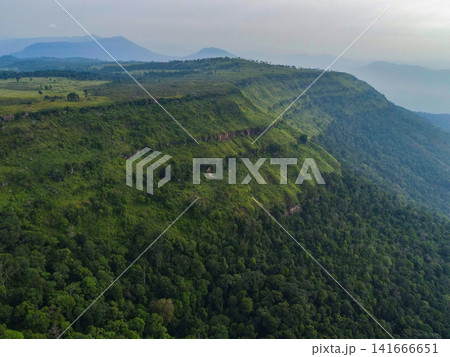 Aerial top view forest tree, Cliff large on the mountain in Asian rainforest ecosystem and healthy environment concept and background, Texture of green tree forest view from above 141666651