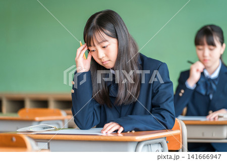 学校の教室・塾で真面目に授業で勉強する中学生,小学生 学校の教室・塾で真面目に授業で勉強する中学生,小学生 141666947