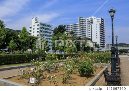 横須賀市のヴェルニー公園の夏 横須賀市のヴェルニー公園の夏 141667360