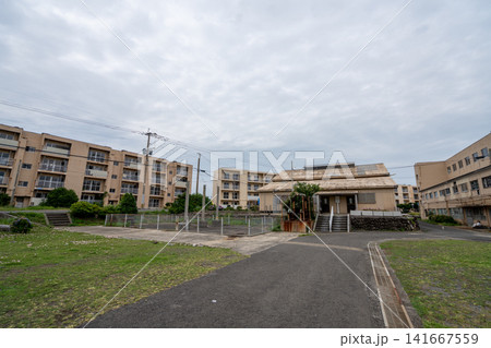 池島の炭鉱アパート群と広がる緑地 池島の炭鉱アパート群と広がる緑地 141667559