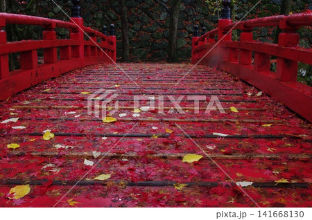 秋の岐阜県揖斐川町谷汲町の横蔵寺は、紅葉の時には赤い橋と三重塔との景色が最高です。 秋の岐阜県揖斐川町谷汲町の横蔵寺は、紅葉の時には赤い橋と三重塔との景色が最高です。 141668130
