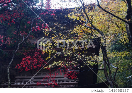 秋の岐阜県揖斐川町谷汲町の横蔵寺は、紅葉の時には赤い橋と三重塔との景色が最高です。 141668137