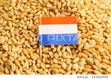Netherland flag on grain wheat, trade export and economy concept. Netherland flag on grain wheat, trade export and economy concept. 141668406